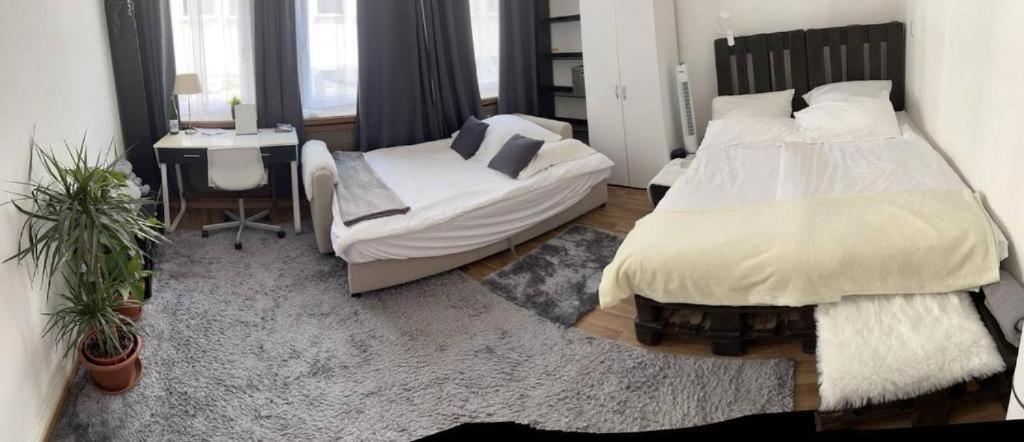 טרייר Ferienwohnung In Der Altstadt Fussgangerzone מראה חיצוני תמונה